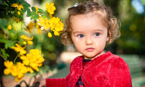 Copy of PS_San_Anton_Gardens (141)2